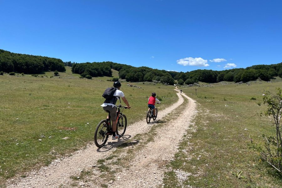 Escursioni Guidate con E-bike